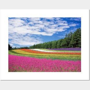 Field of Multicolor Flowers during the Day Posters and Art